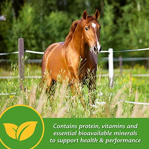Farnam Vita Plus Balanced Multi-Vitamin & Mineral Horse Supplement, Vitamin Supplements, Provides Balanced Nutrition to Support Overall Health and Performance, 3.75 Pounds, 30 Day Supply