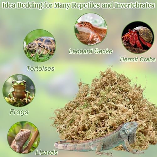 Sphagnum Moss for Reptiles, 6 oz Natural Terrarium Bedding Substrat