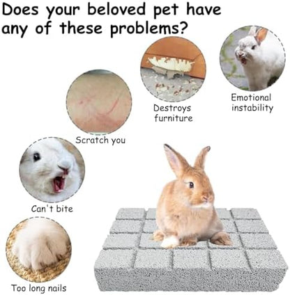 Hamiledyi 6PCS Rabbit Scratching Pads - Lava Stone Grinding Claw Pads & Chew Toys for Small Animals, Hamster, Chinchilla, Hedgehog, Guinea Pig Cage Accessories