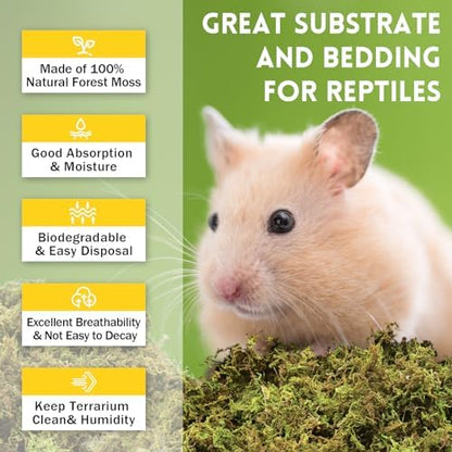 Riare 2.6lb Natural Sphagnum Moss for Reptiles, Terrarium Substrate Bedding