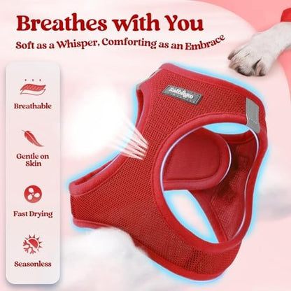 rabbitgoo Dog Harness Medium Sized and Leash Set, Step-in Puppy Pet Vest