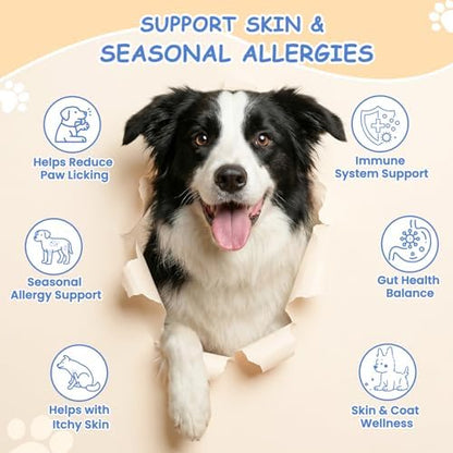 Dog Allergy Chews, Itchy Skin & Paw Licking Support, Probiotics for Dogs, Immune & Gut Health, Seasonal Allergy Formula, Skin & Coat Health, Chicken Flavor Soft Chews, 200 Ct, BlueRed