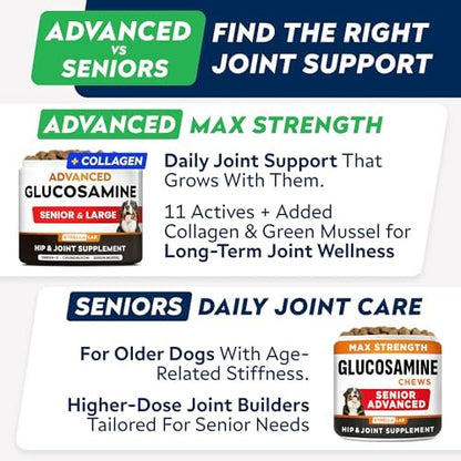 Advanced Glucosamine for Dogs, Collagen&Green Lipped Mussel - Joint Health