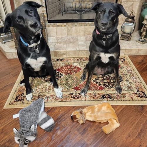 Best Pet Supplies 2-in-1 Stuffless Squeaky Dog Toy - Fox, Raccoon, Medium