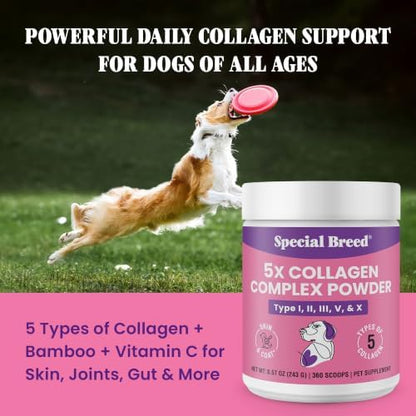 Premium 5X Collagen Powder for Dogs - Types I, II, III, V & X - Skin, Join, Gut & Coat Support - Collagen Powder with Bamboo & Vitamin C, 180 Scoops 8.57 oz