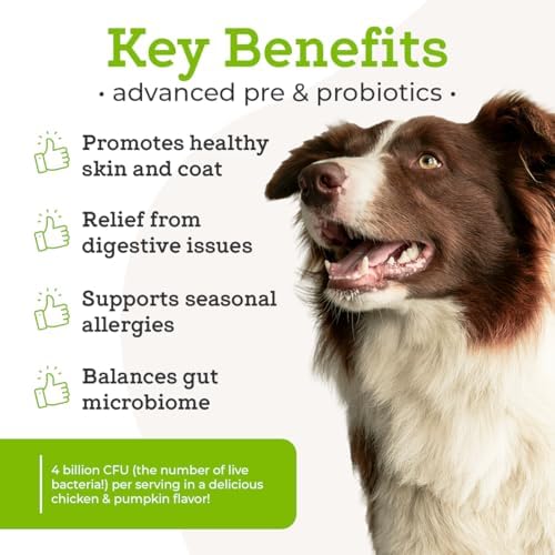 Dr. Joseph's VetPro Complete Advanced Pre & Probiotics Powder for Dogs, Meal Topper, 90 Scoops, Supports Gut Health, Diarrhea, Digestive Health & Allergies, Chicken/Pumpkin Flavor, 4 Billion CFUs