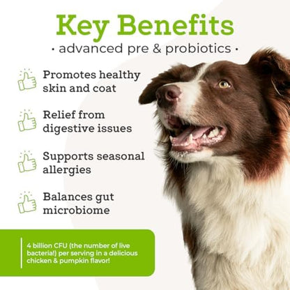 Dr. Joseph's VetPro Complete Advanced Pre & Probiotics Powder for Dogs, Meal Topper, 90 Scoops, Supports Gut Health, Diarrhea, Digestive Health & Allergies, Chicken/Pumpkin Flavor, 4 Billion CFUs