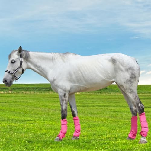 Horse Fly Boots, Mesh Fly Boots for Horse Set of 4, Equine Leg Protection
