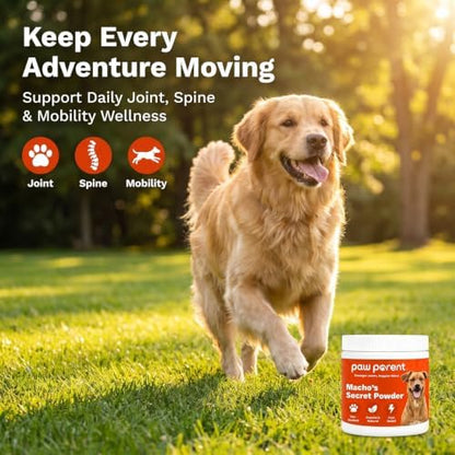 Paw Parent Macho's Secret Powder, Green Lipped Mussel Hip & Joint Powder for Dogs, Spine and Disc Powders, Cardiac Shield Formula with Glucosamine, Msm & Omega-3 for Mobility Support，1Pc