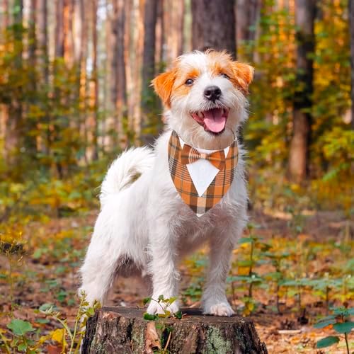 ADOGGYGO Fall Dog Tuxedo Collar, Orange Plaid Dog Thanksgiving Outfit, XS