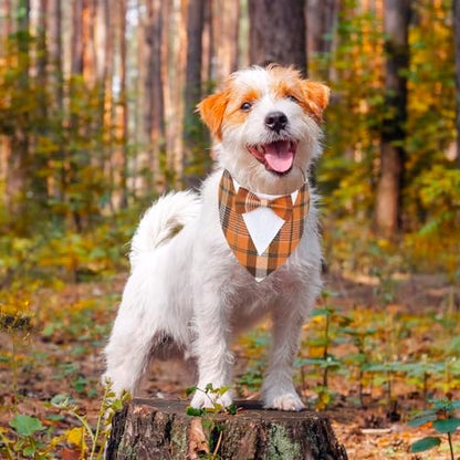 ADOGGYGO Fall Dog Tuxedo Collar, Orange Plaid Dog Thanksgiving Outfit, XS
