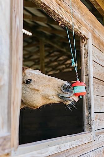 Horsemen's Pride Treat Refill for Stall Snack Holder Apple (Pack of 4)