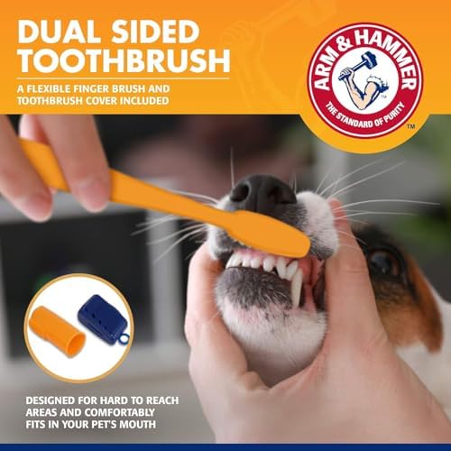 Arm & Hammer Tartar Control Dog Dental Kit, Banana Mint, 3-Piece, 2-Pack