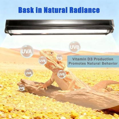 KINGYEENUO UVB 10.0 T8 Reptile Light Fixture Combo Kit 15W (New Upgrade)
