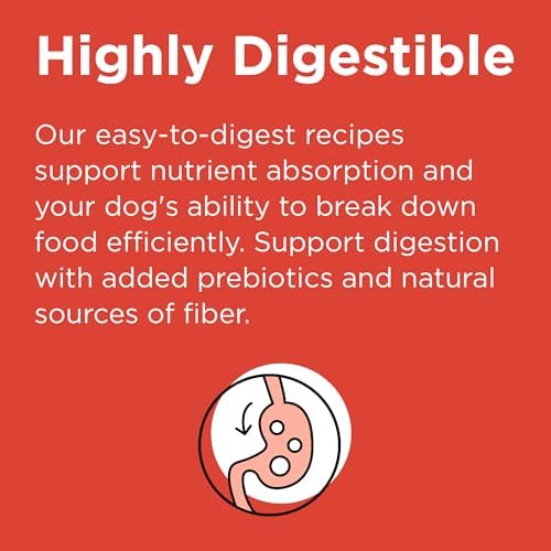BIXBI Rawbble Freeze-Dried Raw Coated Dog Food, Beef – Fresh Meat, No Meat Meals, Grain-Free – USA Made, 24 lbs