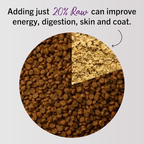 Stella & Chewy's Freeze-Dried Raw Cat Dinner Morsels - Premium Salmon & Cod Recipe with 98% Wild-Caught Fish & Organs - Natural Grain-Free Cat & Kitten Food - Made in USA - 8 oz