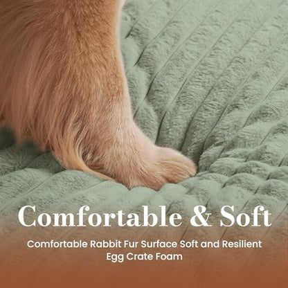 Medium Dog Bed Orthopedic Foam with Waterproof Lining