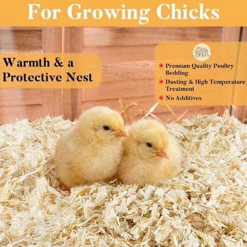 Sukh 31 OZ Chicken Coop Bedding - Aspen Shavings Small Animal Bedding