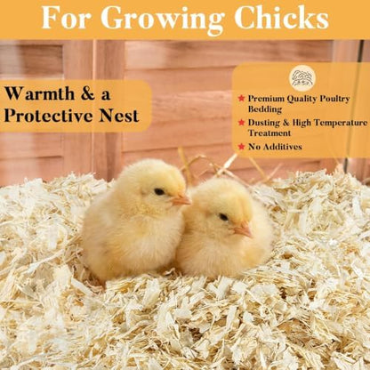 Sukh 31 OZ Chicken Coop Bedding - Aspen Shavings Small Animal Bedding