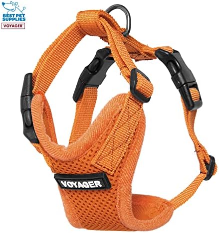 Best Pet Supplies Voyager Step-in Lock Pet Harness w Reflective Pet Leash Combo Set with Neoprene Handle 5ft - Supports Small, Medium and Large Breed Puppies/Cats - Orange, XXS