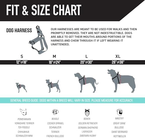 Wolfgang Heavy Duty Adjustable Dog Harness, Pull-Tested to Over 800 lbs for Walking & Training, DigiFloral Print, Large
