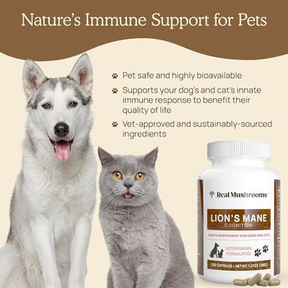 Real Mushrooms Lion's Mane Supplement for Cats and Dogs, 120ct