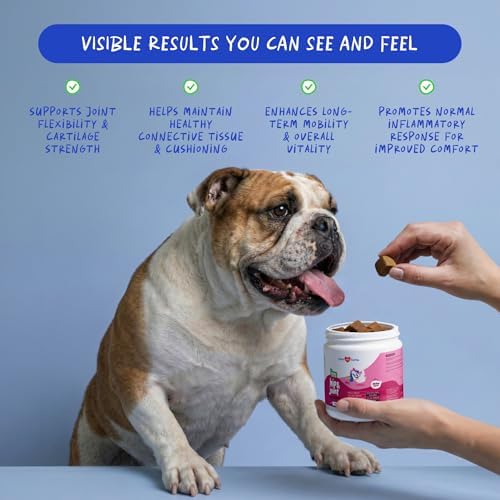 Hip & Joint Max Strength Dogs - Collagen, Glucosamine & Fish Oil