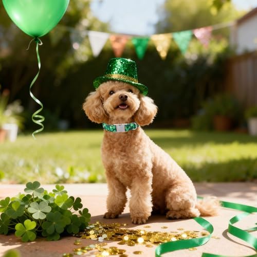 St. Patrick's Day Dog Collar, Lucky Clover Dog Collars, Adjustable Heavy Duty Irish Festive Pet Collar for Small Medium Large Dogs with Metal Buckle L