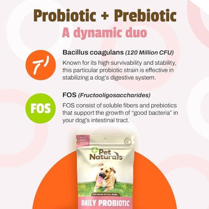 Pet Naturals Daily Probiotic Soft Chews for Dogs, Digestive and Immune Support Supplement, 1 Billion CFU Per Chew, Duck, 160 Count (Pack of 2)