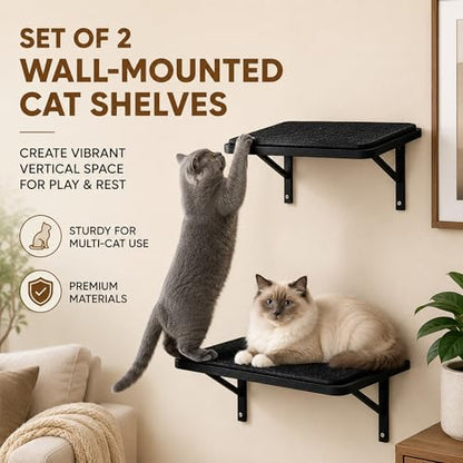 Cat Wall Shelves Set of 2, Black Solid Wood Window Perches with Sisal Mats