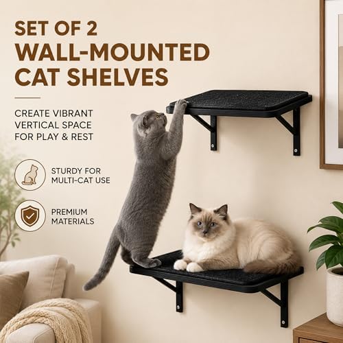 Cat Wall Shelves Set of 2, Black Solid Wood Window Perches with Sisal Mats