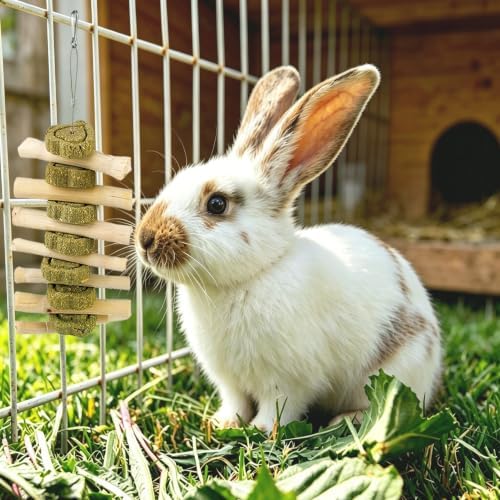 kathson Natural Bunny Toys for Rabbits,4 PCS Hanging Rabbit Chew Toys Treats with Timothy Hay Cakes & Sweet Bamboo Stick,Reduce Boredom,Keep Dental Health,Chewing Toys for Guinea Pigs Bunny Hamster