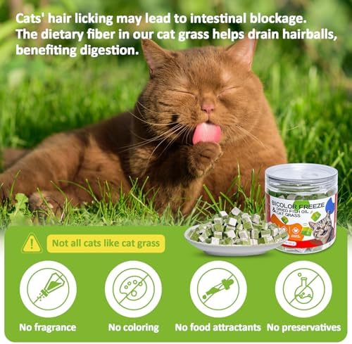 Freeze-Dried Cat Grass Treats with Omega-3 Fish Oil Blend - Hairball Control, Skin & Coat Health for Cats (Chicken & Fish Oil, 1.76 oz)
