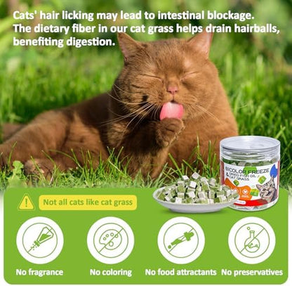 Freeze-Dried Cat Grass Treats with Omega-3 Fish Oil Blend - Hairball Control, Skin & Coat Health for Cats (Chicken & Fish Oil, 1.76 oz)