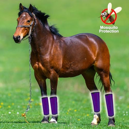 FOXLVDA Horse Fly Boots - Fly Boots for Horses Set of 4, Comfortable Breathable Mesh Equine Leg Leggings, Adjustable & UV Protective with Support Bars for Reduce Stomping & Leg Fatigue (Purple, Large)
