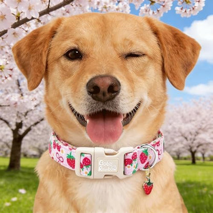 Dog Collars, Spring Red Strawberry Print Pet Collar Holiday Cute Durable Adjustable Pendant Gift Collar with Quick Release Plastic Buckle for Small Dogs