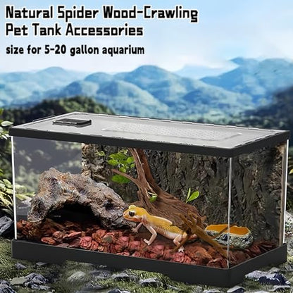 Hamiledyi 5PCS Driftwood for Aquarium 7-9in Natural Reptile Spider Wood Assorted Branches Aquarium Decoration Fish Tank Ornament Decor