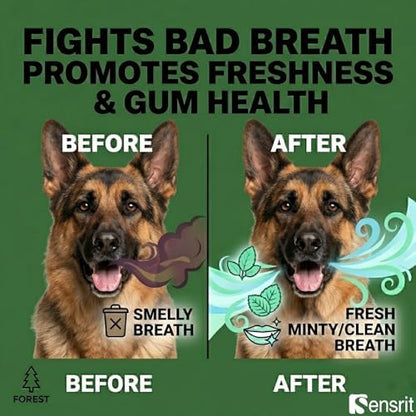 Dog Dental Chews Teeth-Cleaning Bones - 10 Oz (285g) Long Lasting Dental Care Treats for Dogs, Edible Chew Bones for Plaque & Tartar Removal, Healthy Chicken Flavor Dog Treats for All Breeds