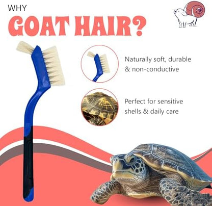 Turtle Cleaning Brush - Gently Remove Dirt from Turtles and Tortoises - Blue by Snout and Shell