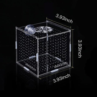 AWXZOM Acrylic Fish breeding Box, Acrylic Fish Isolation Box, Fish Separator for Aquarium, Hatchery Incubator with Suction Cups for Small Baby Fishes Shrimp Clownfish Guppy (3.9 * 3.9 * 3.9inch)