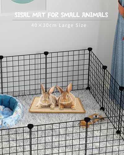 JanYoo 2 Pieces Bunny Scratch Pads, Sisal Rabbit Scratching Pad Bunny Scratcher Mat Guinea Pig Resting Mats for Cages, Small Animal Claws and Teeth Care Bedding Accessories(15.7x11.8in, Beige)