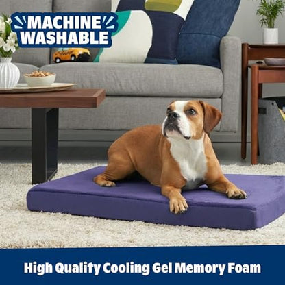 BarkBox Orthopedic Dog Bed - Medium