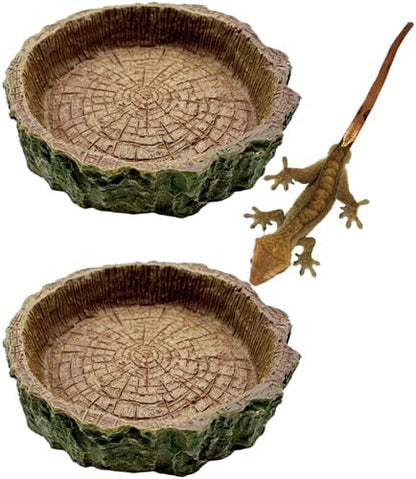 2 Pack Reptile Food Bowls, Reptile Feeding Terrarium Bowls for Bearded Dragon Lizard Frog Gecko Tortoise Hermit Crab Snail (Brown A)