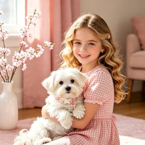 Lionet Paws Dog Collar Bow Spring Summer Pink Plaid Dog Collars with Sailor Bow Pattern Pendant - Female Girl Dogs Collar for Small Medium Dogs XS