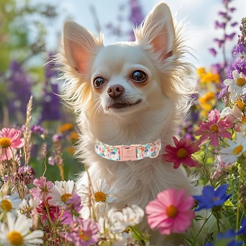 Floral Dog Collar - Cute Summer Flowers Dog Collars for Large Dogs, Durable Adjustable Male Female Puppy Collar with Metal Buckle L
