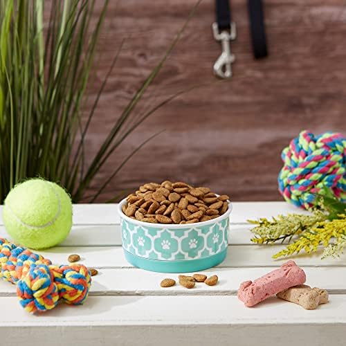 Bone Dry Lattice Collection Pet Bowl & Canister, Single Dish, Small 4.25x2", Aqua
