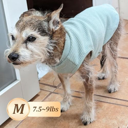 KYEESE 2Pack Waffle Dog Shirt for Small Dogs Striped Dog Sweater Tank Top
