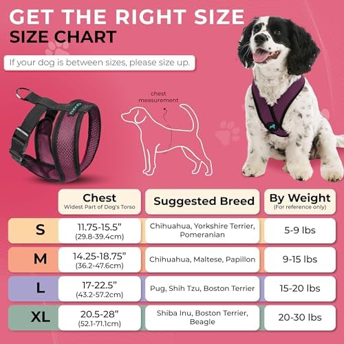 Gooby Comfort X Head-in Dog Harness, Choke-Free, Purple, Medium