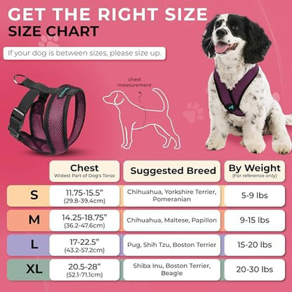 Gooby Comfort X Head-in Dog Harness, Choke-Free, Purple, Medium