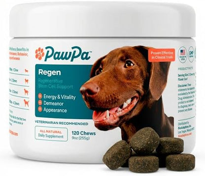 PawPa Regen, 120 Chews Veterinarian Recommended Regenerative Stem Cell Supplement for Senior Dogs, Supports Mobility, Appearance, Alertness, Hip & Joint, Delicious Beef Flavor Chews
